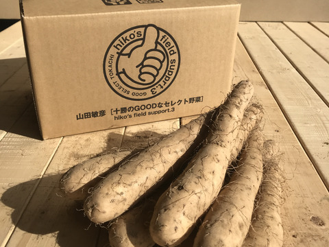 完熟‼️小さなナガイモ…
完熟‼️じゃがいも(とうや)…
各4.5kg    旨っ❗️北海道の貯蔵野菜は今が旬‼️2箱同梱送料節約