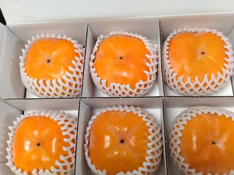 【冬に食べる】幻の柿 次郎柿！木成り完熟の逸品12個化粧箱入り（3ｋｇ）