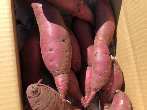 さつまいも３ｋｇ＆訳アリ里芋３ｋｇセット