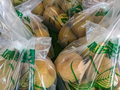 豊水呉羽梨贈答用5ｋｇ