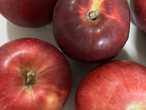 ～🍎青森りんご🍎～お菓子作りに最適です！『太陽の恵みいっぱい紅玉』【家庭用】お試しサイズ６個から９個入り