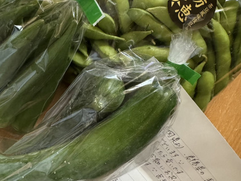 【手島農園　夏のイチオシ！】朝採り枝豆！1kg