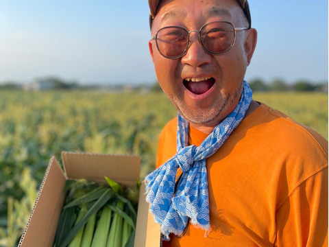 ◎水戸野菜〜採りたてヤングコーン皮付き〜20本前後箱入り☆炒め物やスープ、BBQに！*\(^o^)/*