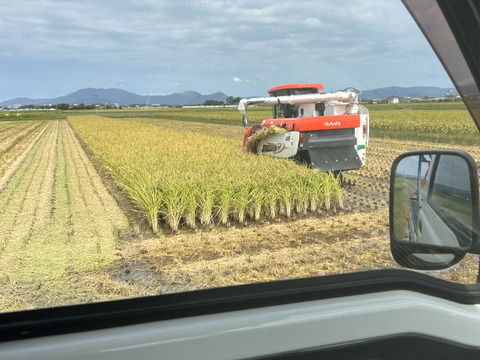 福岡県産　元気つくし　玄米5キロ
冷めても美味しい！　もちもちの食感！