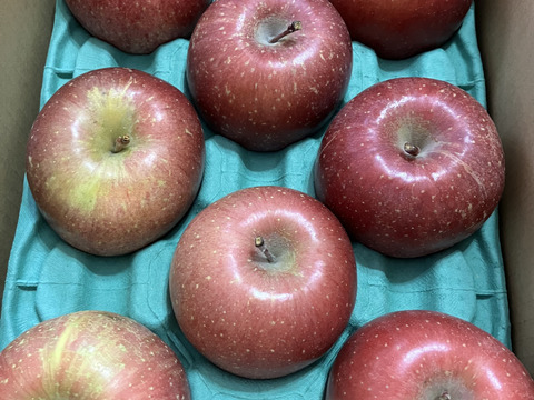 感謝お礼セール‼️とことん味にこだわりました💪😊🍎青森県産完熟葉取らずふじ家庭用キズあり約3kg‼️