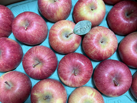 🍎5キロ🍎葉とらずふじ【家庭用】１３玉～２３玉 青森りんご リンゴ 商品ID165766