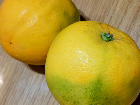 バレンシアオレンジ『サイズ混合』5kg（箱込）