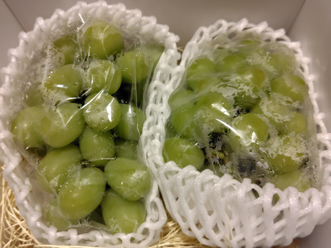 限定追加100箱【訳あり品 大ボリューム】化学肥料・除草剤不使用 山形県産 シャインマスカット 約800g～1.2kg以上　SHAW02-02