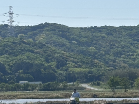 【令和7年新米】渥美半島コシヒカリ　白米9kg