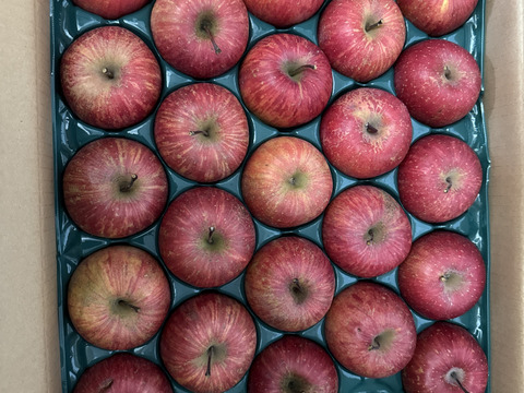 すぐ発送❗️農薬半減栽培葉取らず樹上完熟サンふじ5k23-25家庭用　蜜入りもあり❣️　りんご