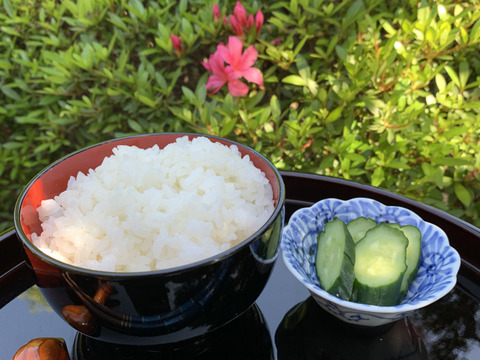 【令和7年新米】美味〜Biimi®︎〜4個入り5セット