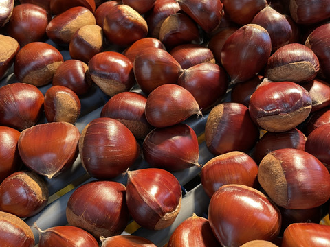 くまもと県阿蘇産　栗　サイズ特大（２キロ）