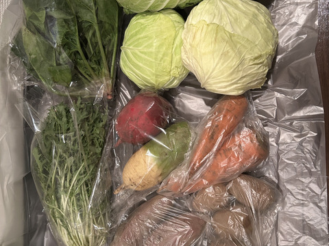 寒暖差が美味しさの秘訣！高原野菜セット【M: 2〜3人用】