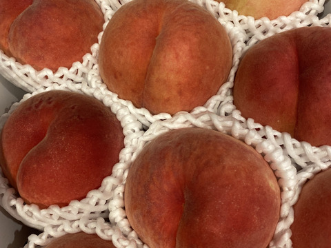 【桃の概念をぶっ壊す固さ】🍑おどろき 3キロ🍑【固すぎ桃】【バリバリ桃】【硬め】【もも】