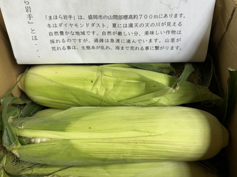 メロン級の甘さ！生でも食べれる！「幻のとうもろこし」　”ピュアホワイトSP”（５本）【予約販売　８月中旬～発送】