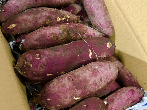 べにはるか　セッコウ10kg (今季最後) べにはるか セッコウ10kg (今年度最終) 乾物