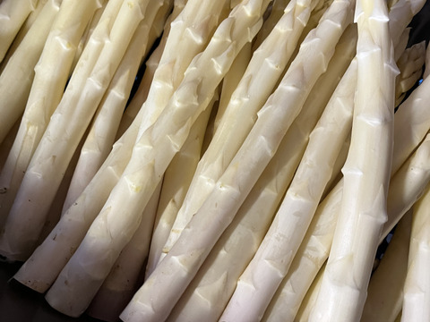 香川県産ホワイトアスパラ「さぬきのめざめ」Lサイズ1キロ