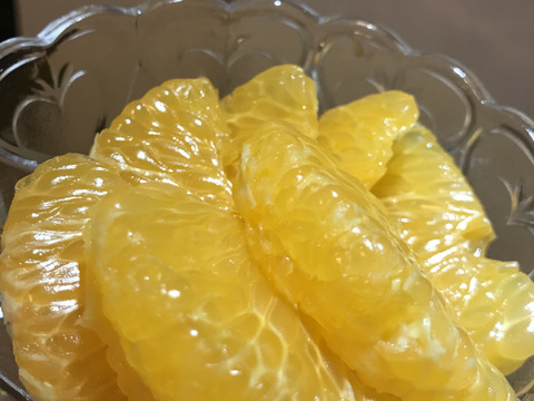 訳あり熟成◆八朔◆農薬不使用
◆2㎏