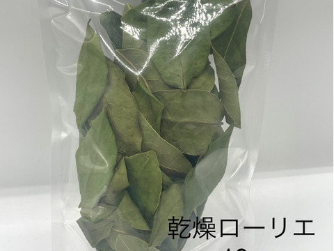 自然栽培　ローリエ　ドライ