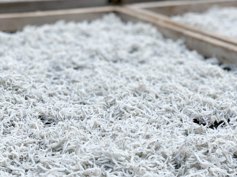 【食べ比べ】天日干ししらすと釜揚げしらすのセット