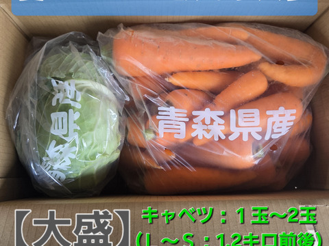 サラダやジュースにも！甘味野菜セット
有機キャベツ×有機人参【大盛】