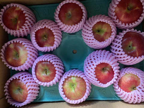 🍎幻の夏りんご🍎夏あかり 3キロ箱 小玉品種〜18玉 商品ID40928 長野県 信州 安曇野 リンゴ 幻 幻のリンゴ 予約 希少 旬