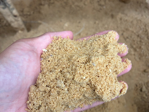 平飼い卵20個 米糠と魚のアラとオカラの発酵飼料で育てた 一切の薬剤・抗生物質・ワクチン不使用の地域循環型養鶏の自然卵