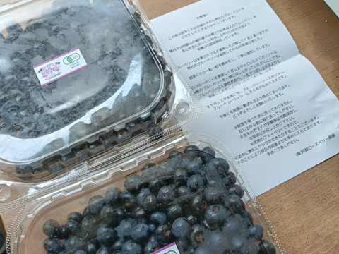 期間限定！！【生食用】新鮮な状態でクール便発送　有機JAS認証栽培　安心安全甘酸っぱくて美味しいブルーベリー1kg