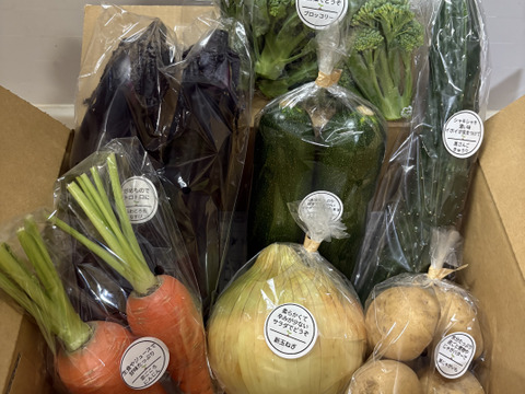 Sサイズ【栽培期間中農薬不使用】季節のお野菜詰め合わせ[5〜6