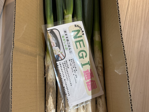 深谷蜜ねぎ（2.5kg）｜農家直送・新戒産深谷ねぎの甘みたっぷり