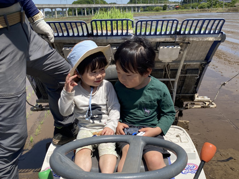 【令和6年新米】関東平野で育った美味しいコシヒカリ玄米10kg