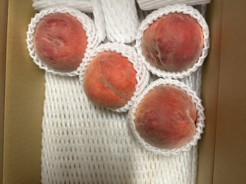 昨年3000件発送うまいっ！【川中島白桃！！】3kg(約6-11玉）【夏ギフト】