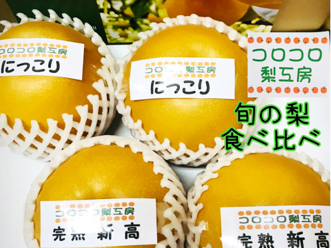 【旬の梨食べ比べ‼️2品種】何が届くかお楽しみ😋贈答用約2.2kg✨️豊水・あきづき・かおり・あきあかり・二十世紀・南水・にっこり・新高・王秋・新興・愛宕の中から2品種詰め合わせ‼️