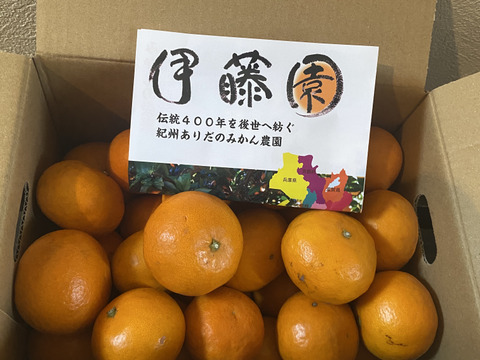 まもなく終了！なつみ3㎏甘さがぎゅっと詰まった希少柑橘【朝市限定】