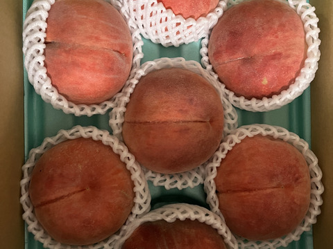 『夏ギフト』なつっこ🍑高糖度で硬めの桃✨朝採りその日に発送します