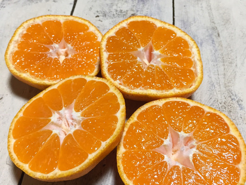 【農薬不使用】ちょっとを美味しく試せておすすめ！1/10頃発送です！ねこ農園の青島みかん1kg【お試し】