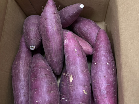 ねっとり極甘さつまいも！熟成紅はるか約2.5kg（s~2Lサイズ不揃い詰め合わせ）