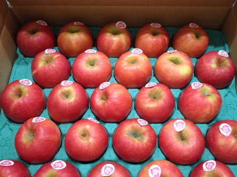 発送中🍎ピンクレディー®︎ 5キロ箱 16玉〜33玉サイズ 長野県 信州