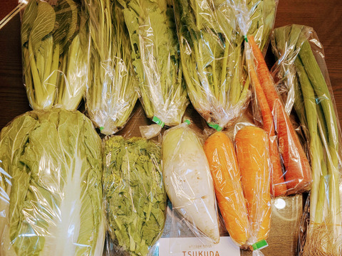 １番人気‼️25年食べチョクアワード受賞‼️【有機JAS認証 有機野菜10品入り】京野菜から珍しい野菜まで！京都の棚田大原で心を込めて大切に露地栽培された大地の恵みたっぷり！有機野菜が必ず10品入り！