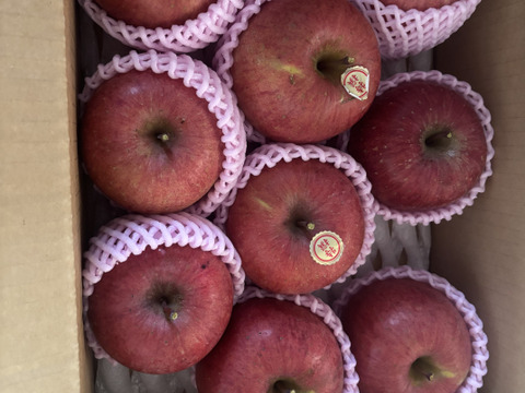 蜜入りりんごの代表格 サンふじ🍎 3キロ (9〜12玉)  ギフト 予約 りんご 農薬節減 さんふじ【11月上旬〜】