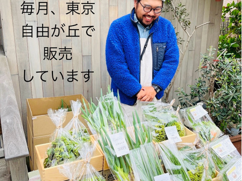 【お肉料理をもっと美味しく】体にやさしい自然栽培サラダセット＋季節のやさい5種類