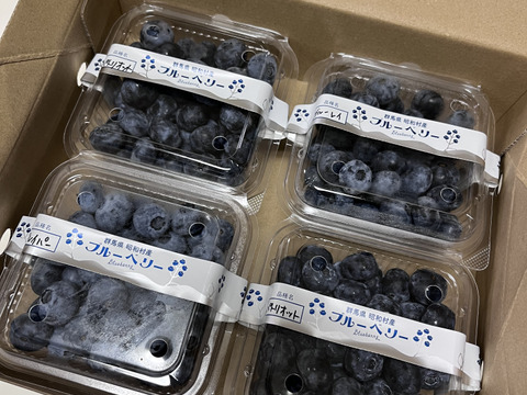 冷凍ブルーベリー 4kg 群馬県産 有機JAS認定＞ 冷凍ブルーベリー (4kg) ブルーベリー JAS認定