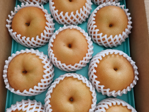 令和8年9月発送【予約】梨 南水 良品 5kg 長野県産 大好評‼️