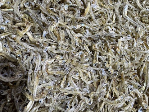 倉橋ちりめん　５００ｇ