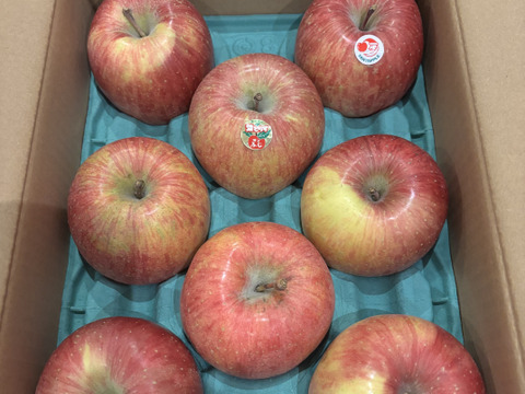 園主一押し!味をとことん突き詰めた青森りんご、“葉とらずサンふじ”　家庭用　約３キロ　農家直送