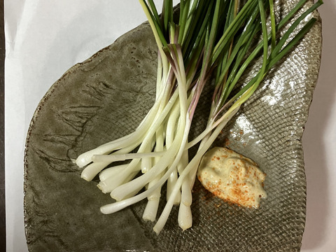 【石垣島産送料込】小ぶりな島らっきょう　200g