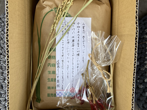 令和２年新米淡路島キヌヒカリ白米５kg