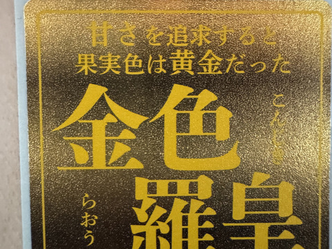 【雅】糖度13-17以上【金色羅皇】『大里果樹園のスイカ』4Ｌ-5Ｌ