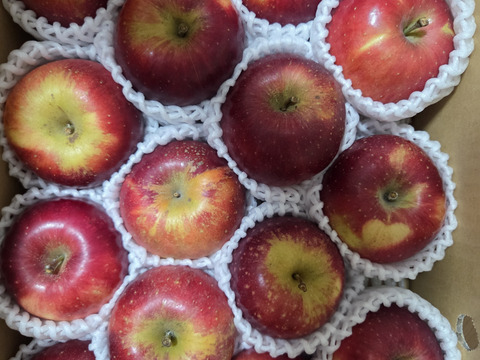 小玉べにこはく！【スマートフレッシュりんご家庭用約3ｋｇ】（玉数指定不可）