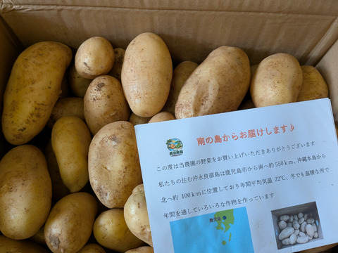 沖永良部島産新じゃがいも　8キロ